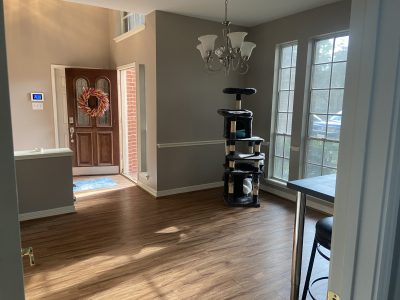 interior house painting pearland texas