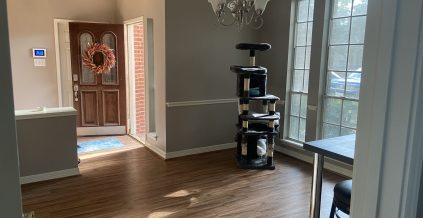 Interior House Painting