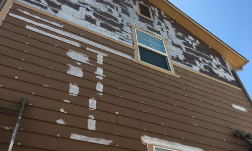 Painting the Siding