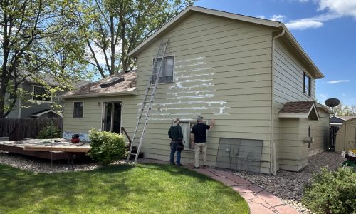 Back of The House (Progress)