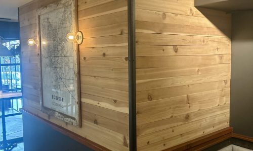 Interior Painting Project