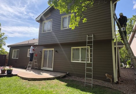 painted back of house