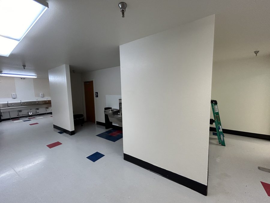 Frontier Academy Mural Coverage (After) Preview Image 17