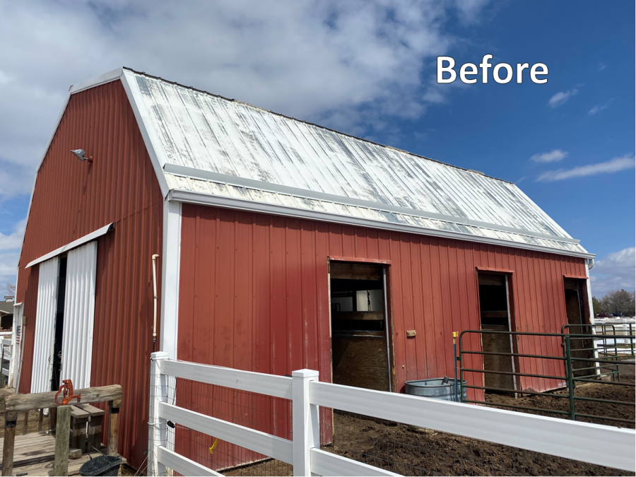 Before painting Preview Image 1