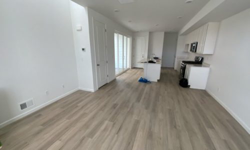 Monochrome Color Scheme