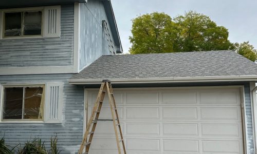 Painting in Progress