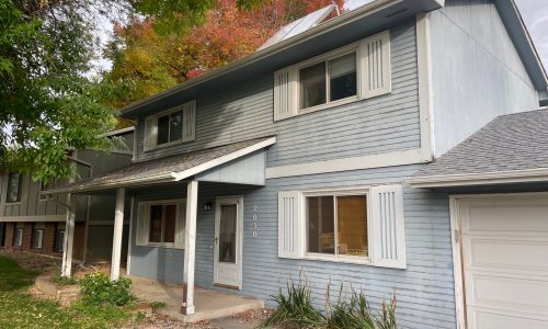 Painting in Progress