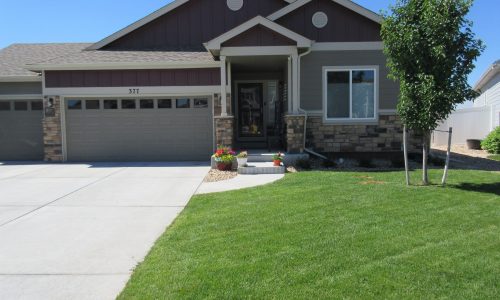 Shades of Brown with White Trim