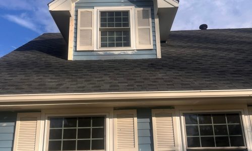 Windows During Painting