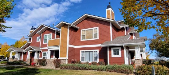 hoa painting