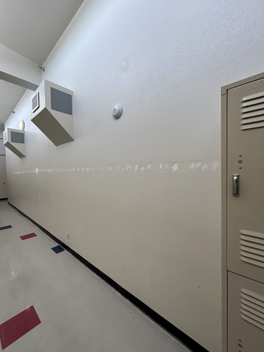 Frontier Academy Hallway Walls (During) Preview Image 6