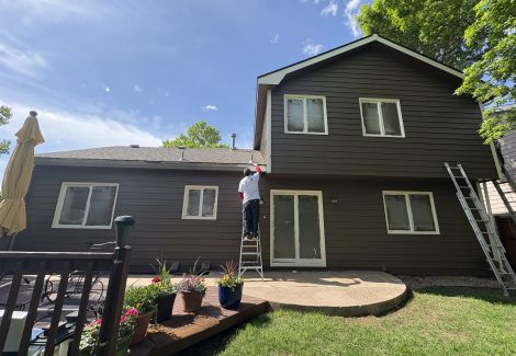 painting house with ladder