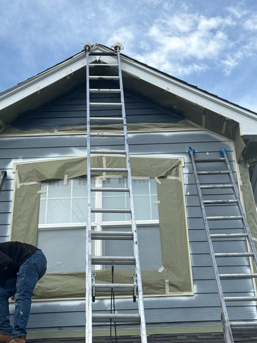 ladders against front of house during siding paint project Preview Image 4