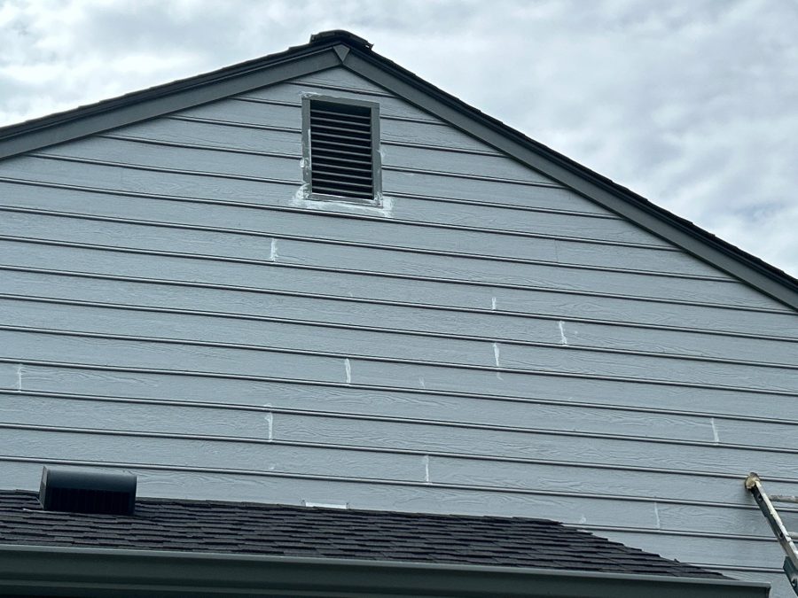 siding with paint damage Preview Image 11