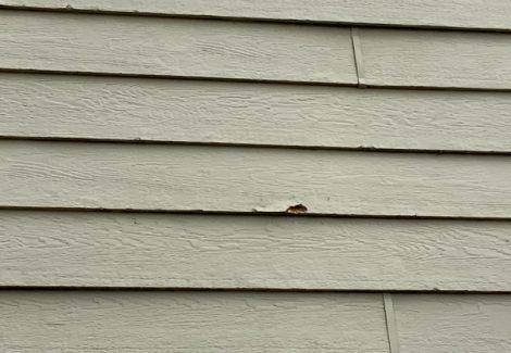 close view of damaged paint on house siding