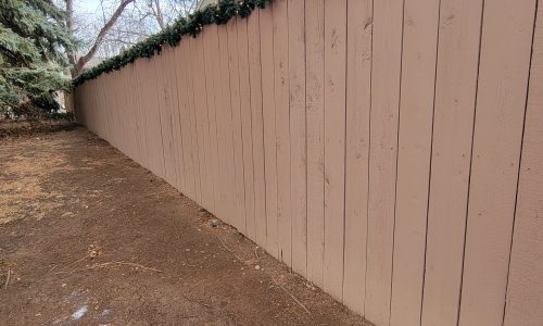 Fence Makeover