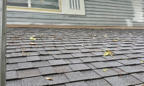 Painting in Progress