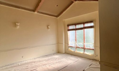 Interior Rooms in Progress