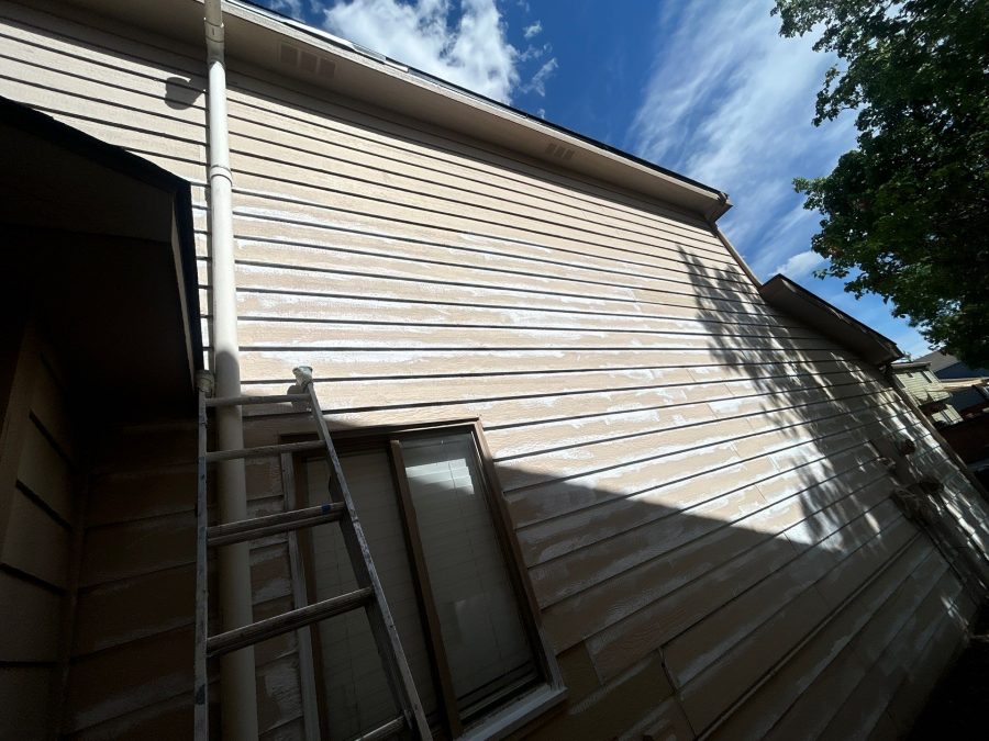 during painting Preview Image 10