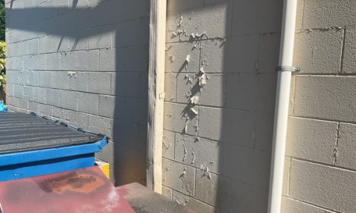 Peeling Exterior Paint