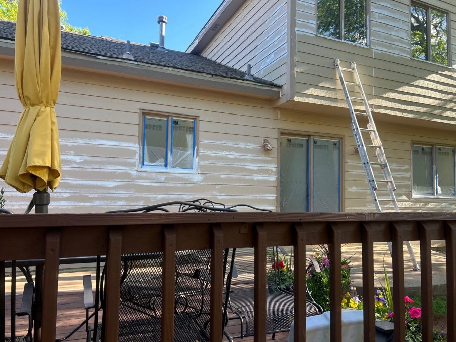 painting project Preview Image 14