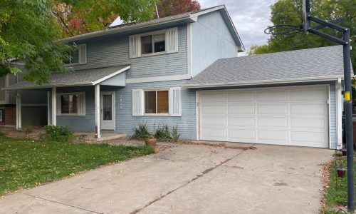 Painting in Progress