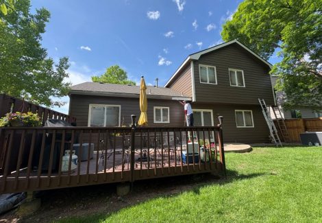 full backyard progress painting