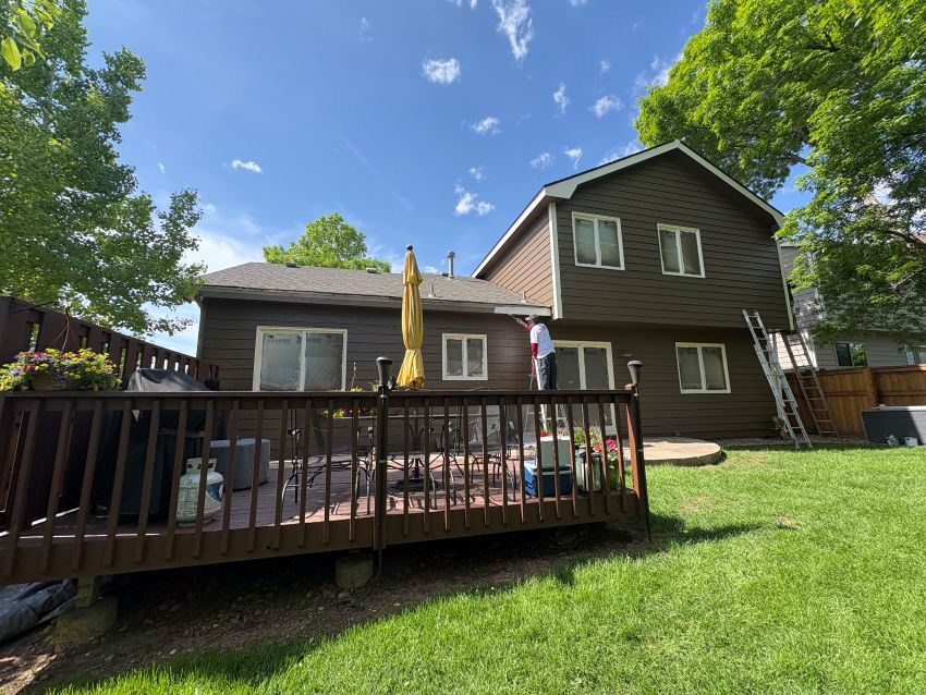 full backyard progress painting Preview Image 9