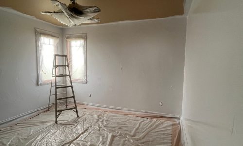 Interior Rooms in Progress