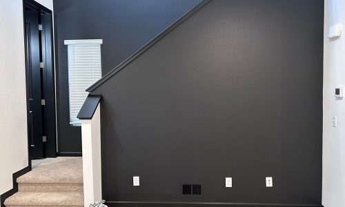 Striking Accent Wall