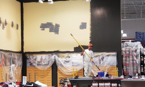 Wall Repair & Painting