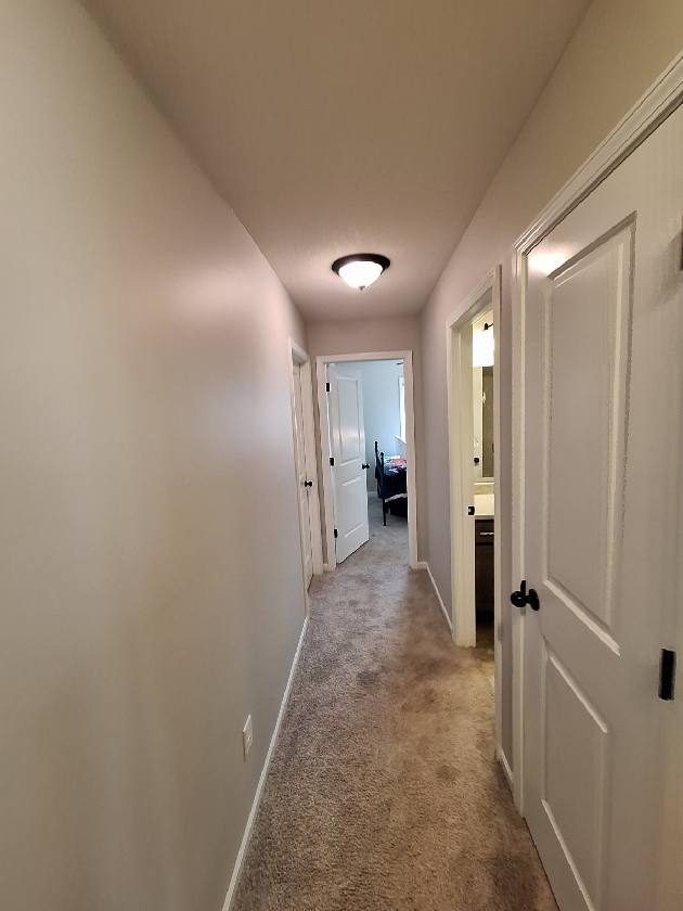 Residential Painting Project Preview Image 10