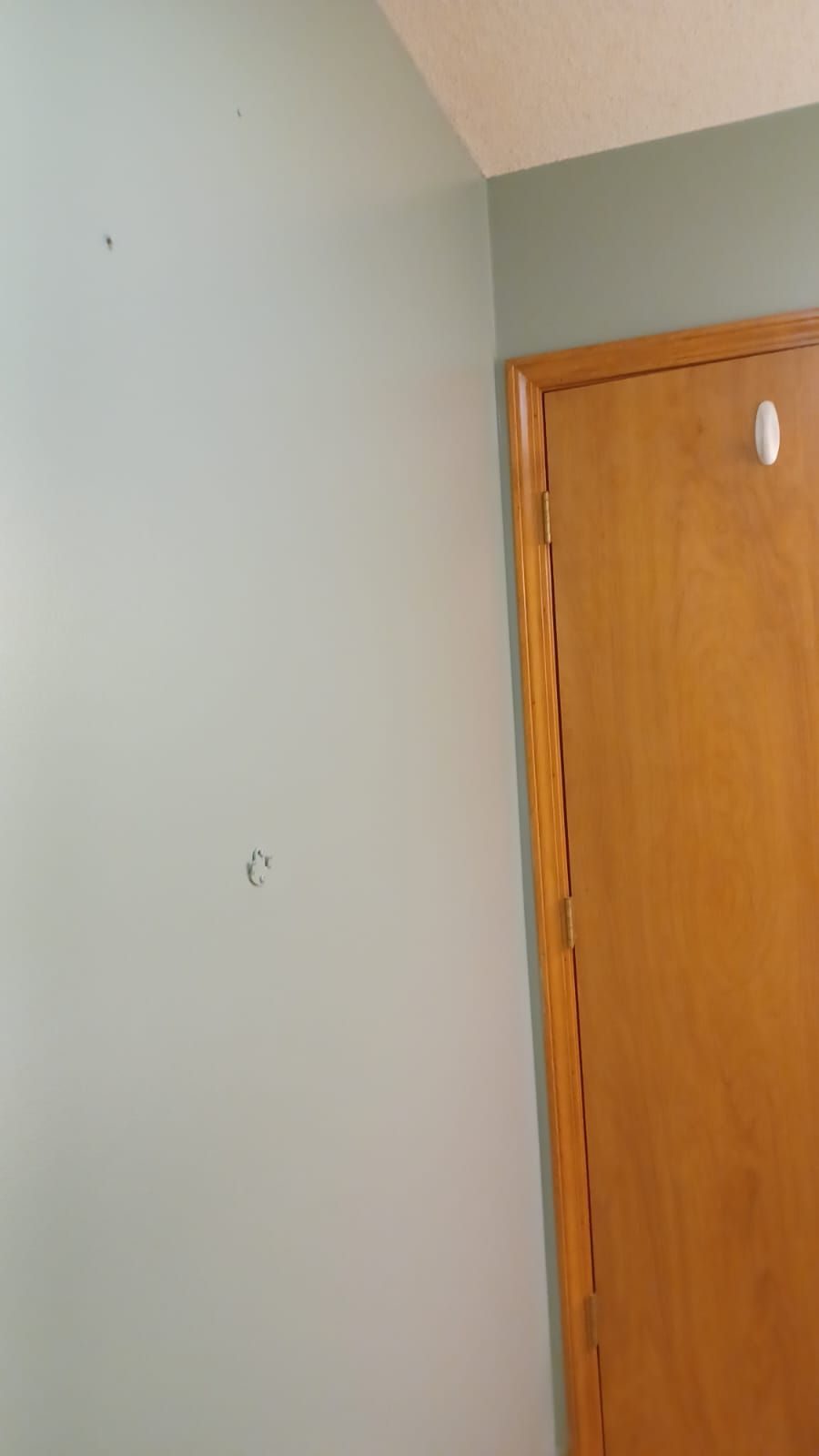 Residential Painting Project Preview Image 7