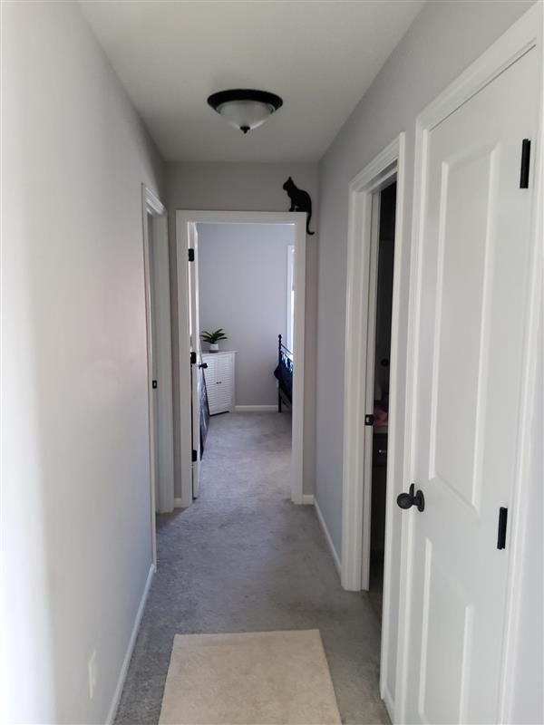 Residential Painting Project Preview Image 14