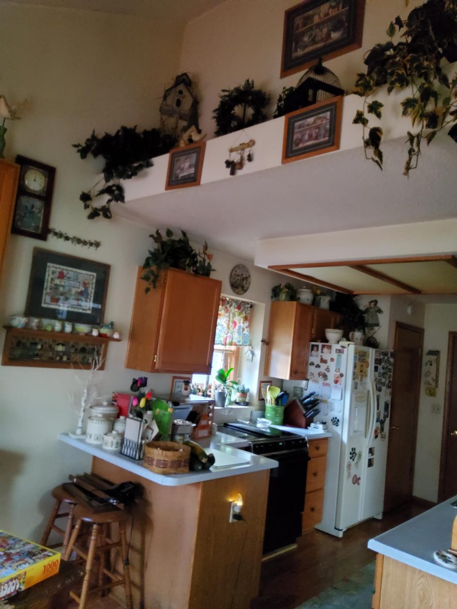 Residential Painting Project Preview Image 1