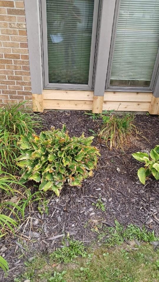 Residential Painting Project Preview Image 6