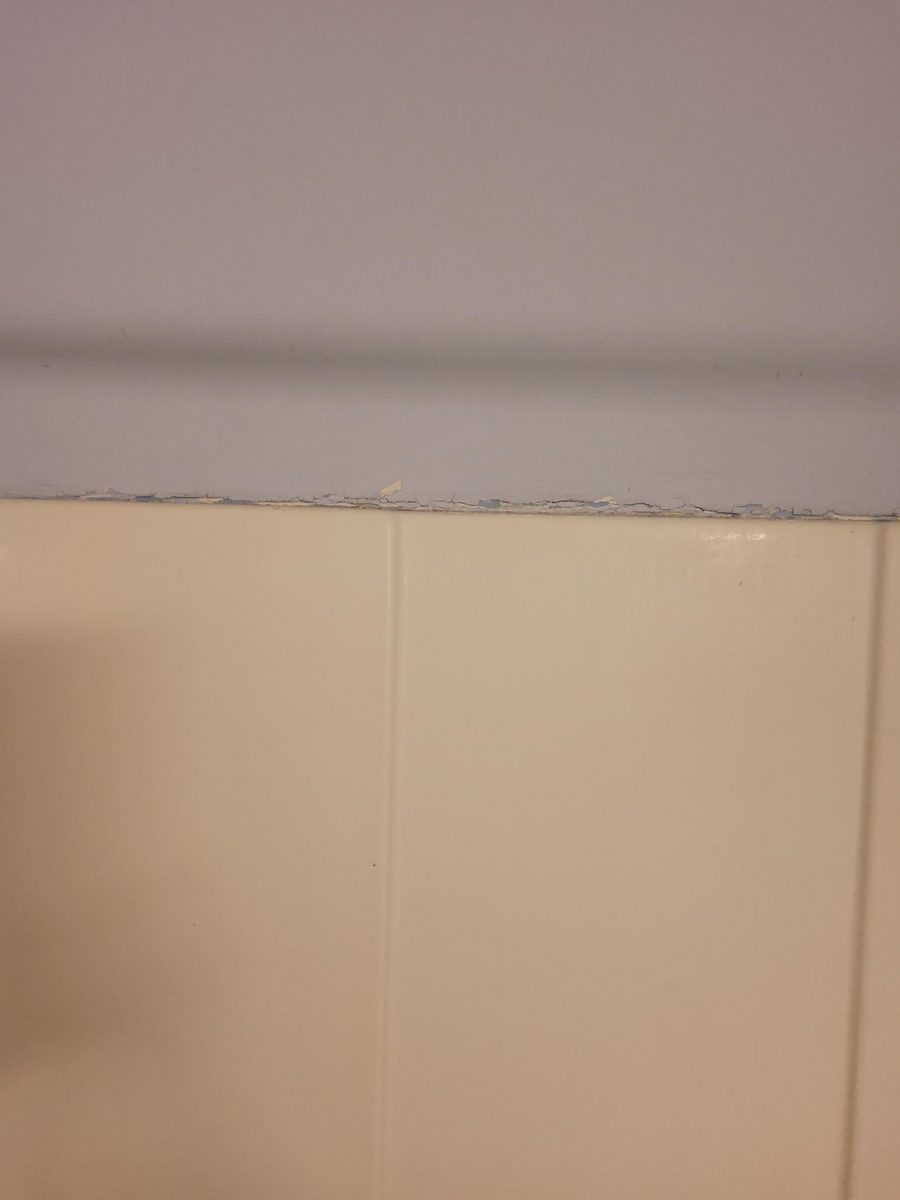 Residential Restoration Project Preview Image 6