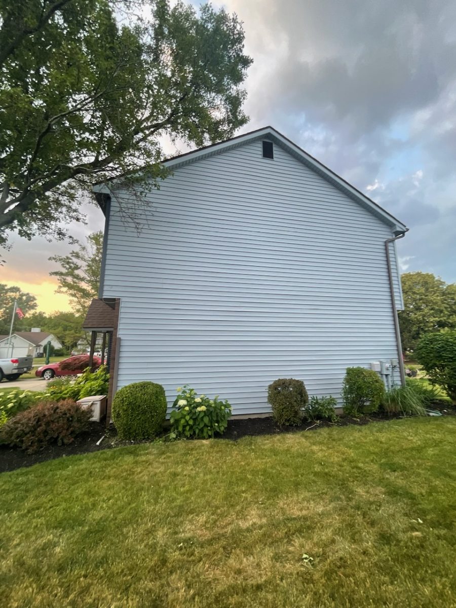 Residential Painting Project Preview Image 6