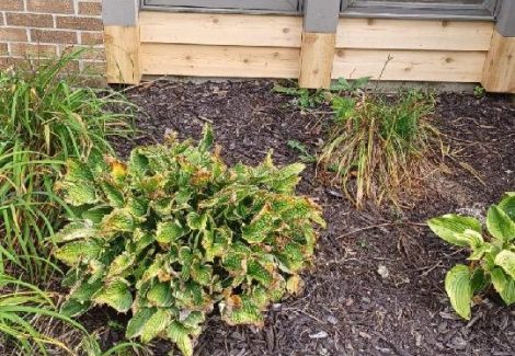 Residential Painting Project