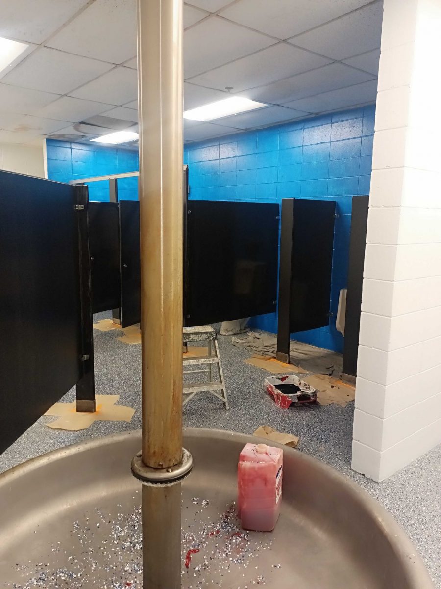 Commercial Painting Project Preview Image 3