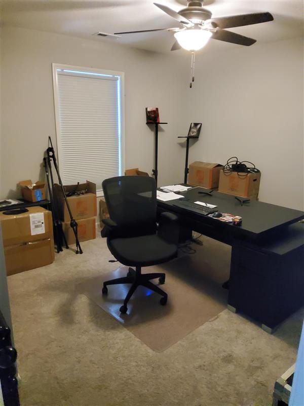 Residential Painting Project Preview Image 19