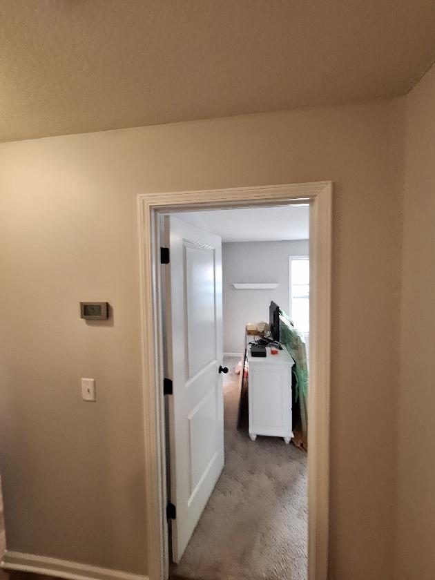 Residential Painting Project Preview Image 8