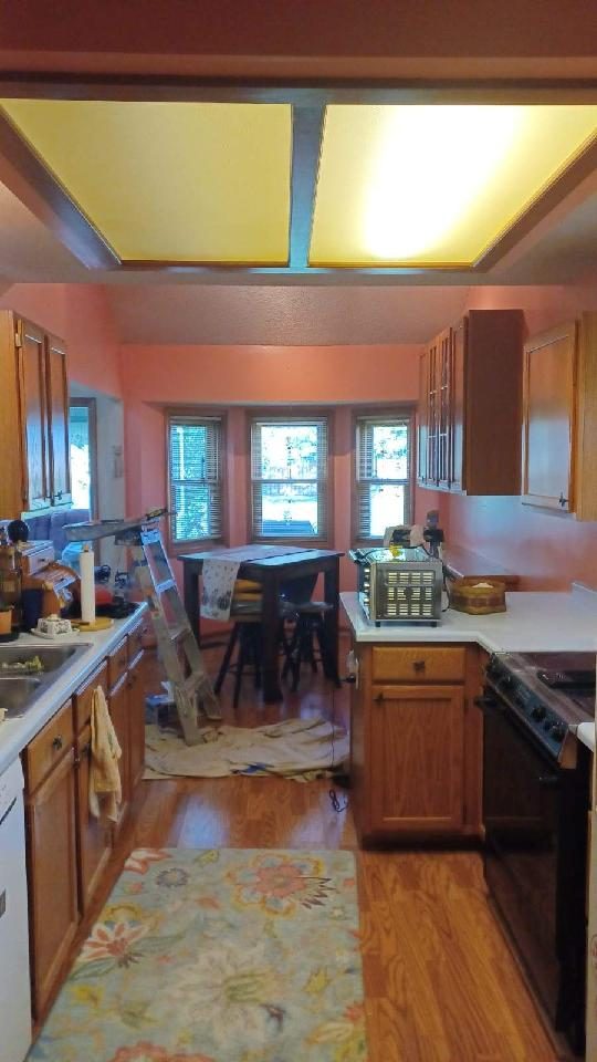 Residential Painting Project Preview Image 11