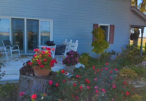 Residential Exterior Painting