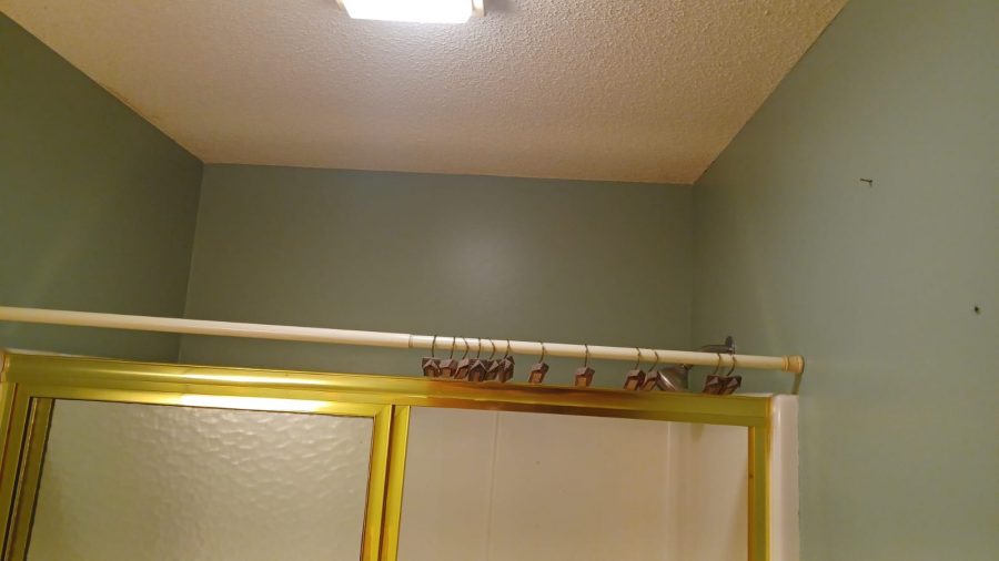 Residential Painting Project Preview Image 5