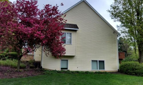 Exterior Side & Windows