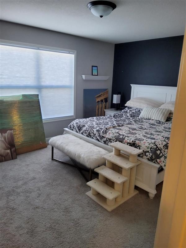 Residential Painting Project Preview Image 22