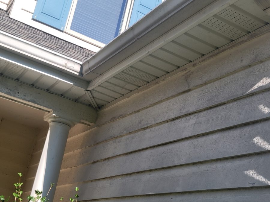 Residential Painting Project Preview Image 7