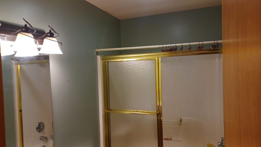 Residential Painting Project Preview Image 6