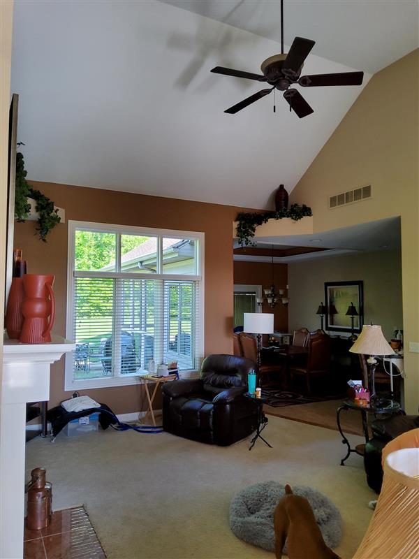 Residential Painting Project Preview Image 5